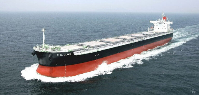 Sea trials for Panamax bulk carrier using biofuel | Electric Hybrid ...