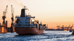 OPINION: The human element in maritime decarbonization